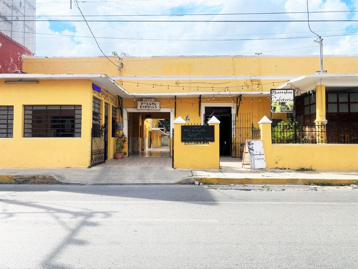 Oyo Posada Espinosa, Merida, Parque De Santa Ana Exterior foto